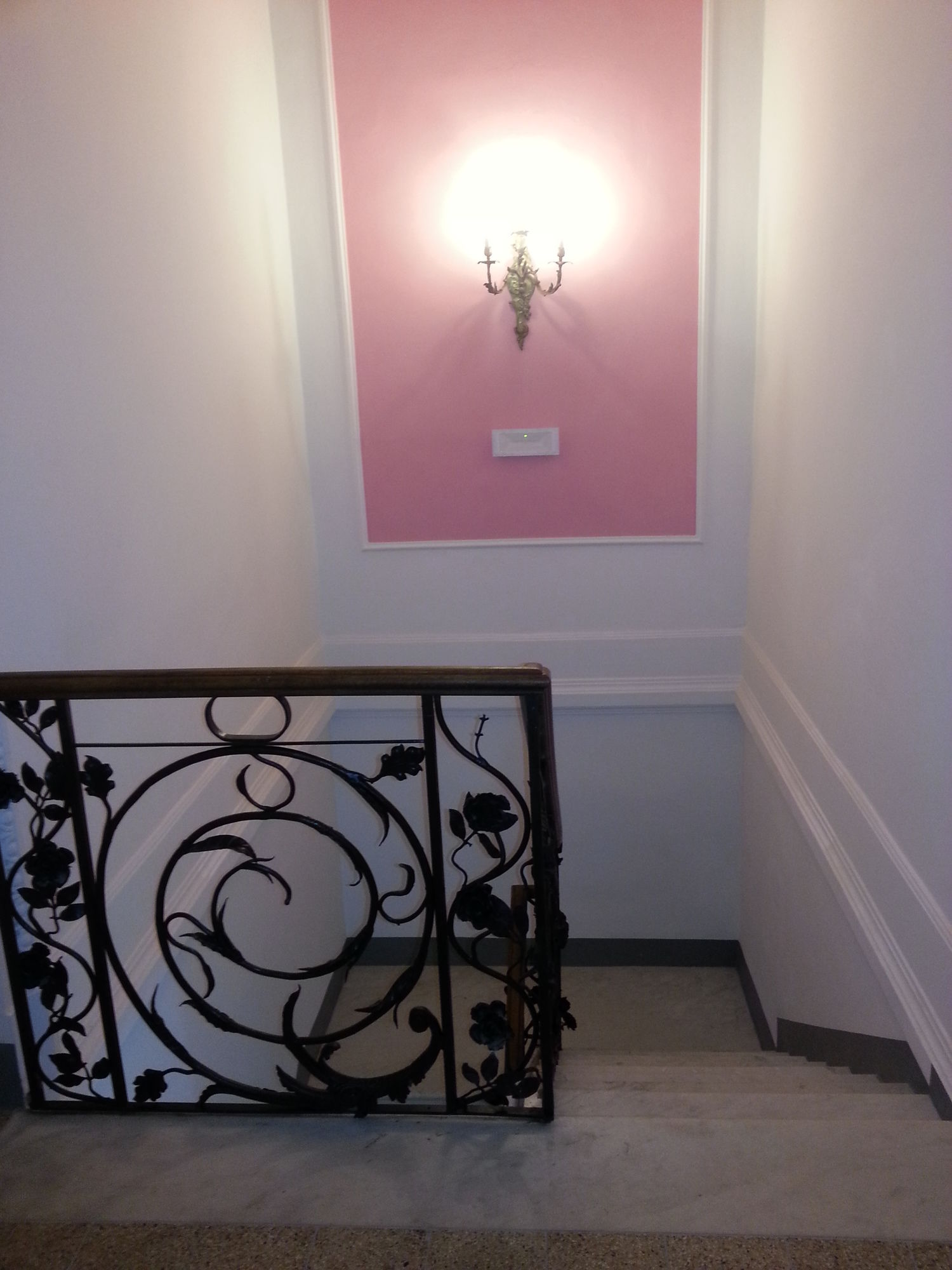 Фото Little Garden Donatello