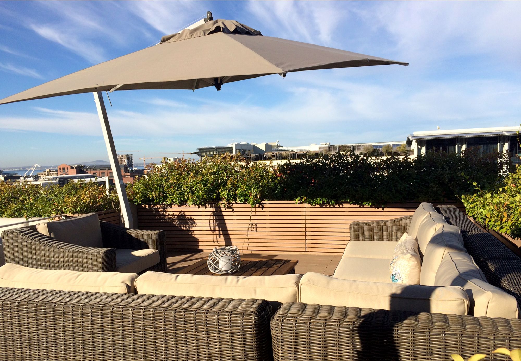 Фото Purple House