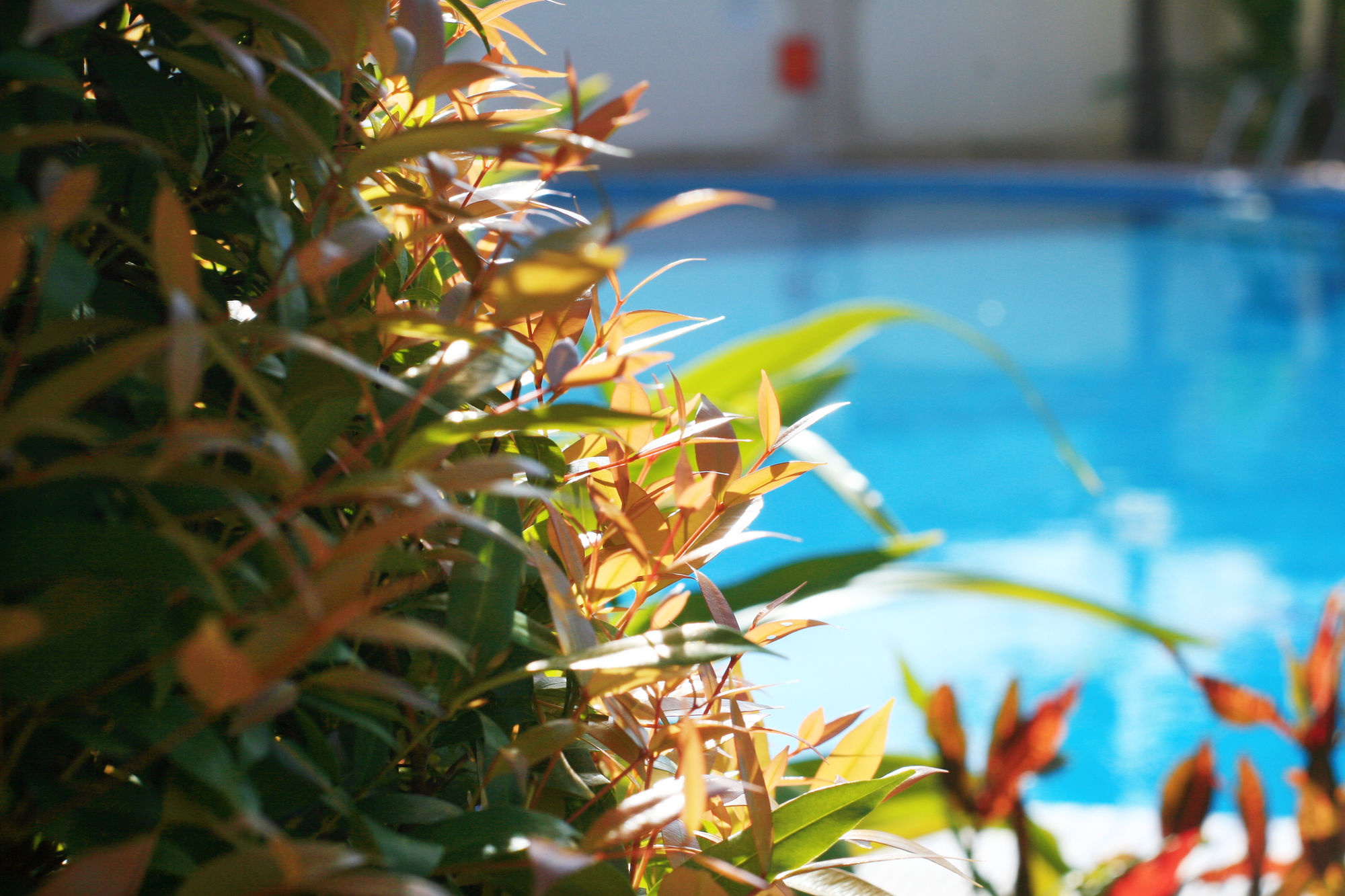 Фото Bach Duong Resort