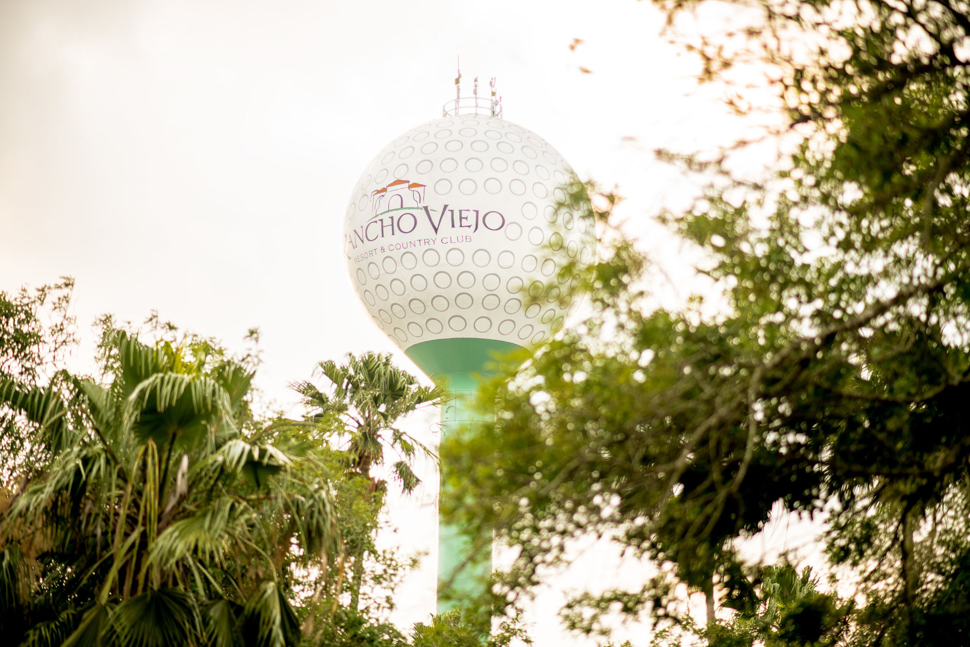 Фото Rancho Viejo Resort and Country Club