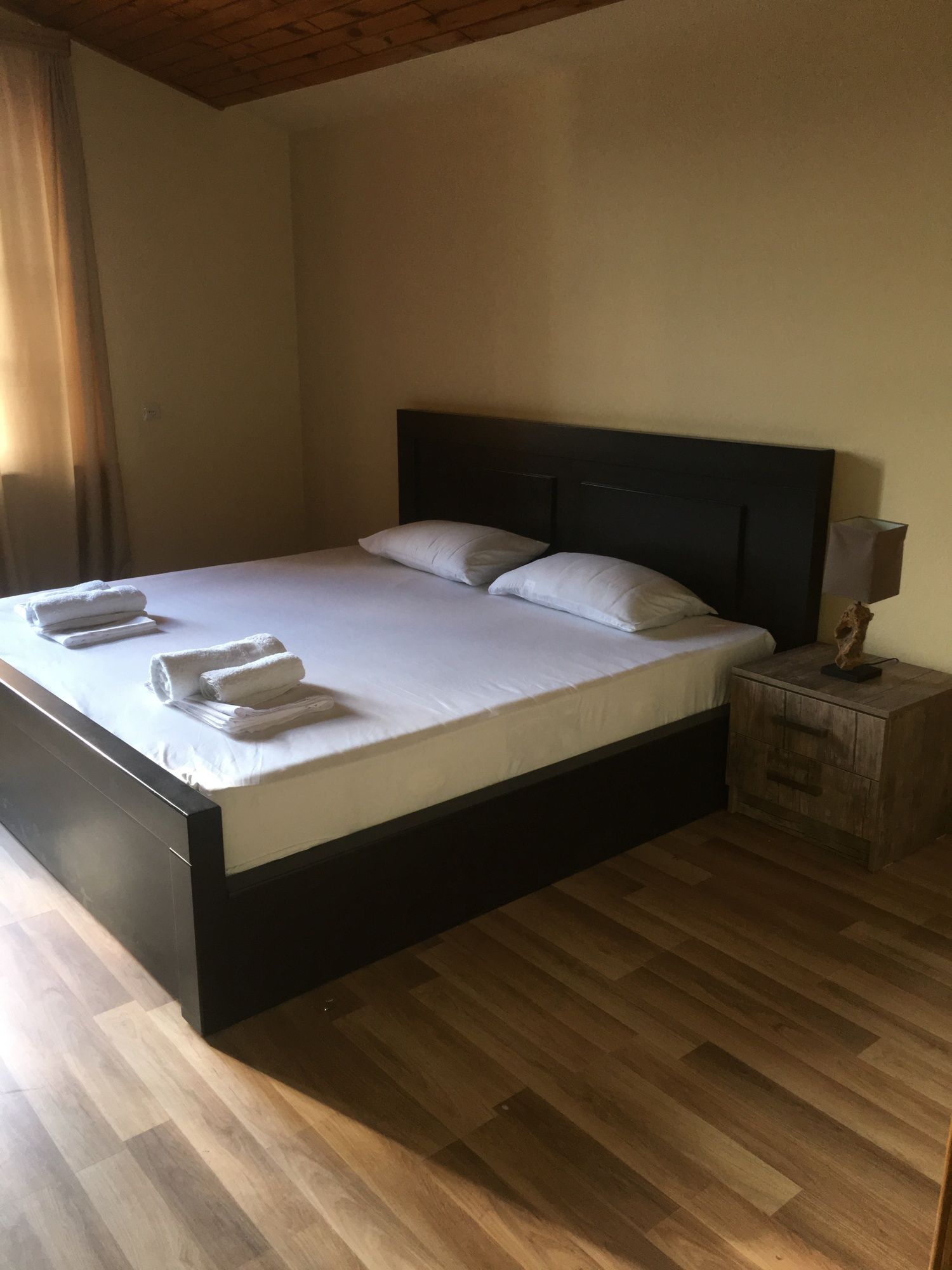 Фото Vedzisi garden hotel