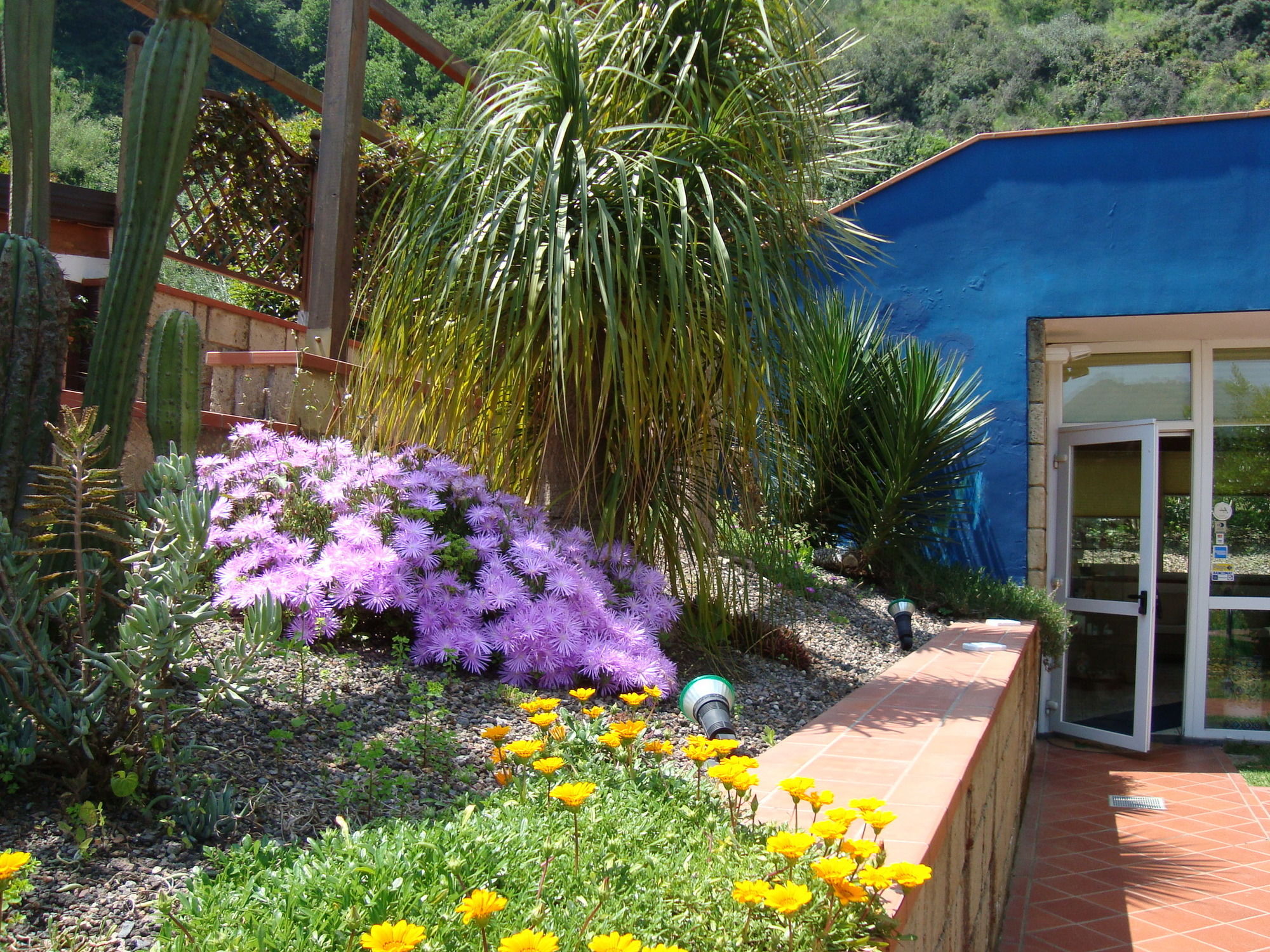 Фото Agave Hotel