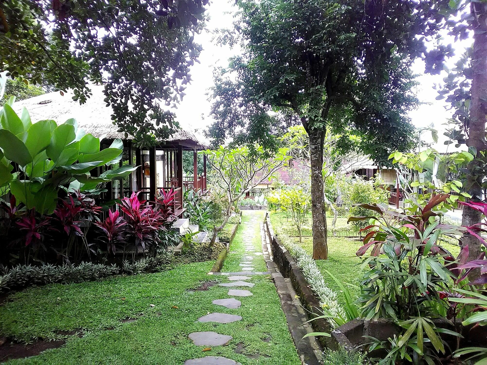 Фото Astawa House