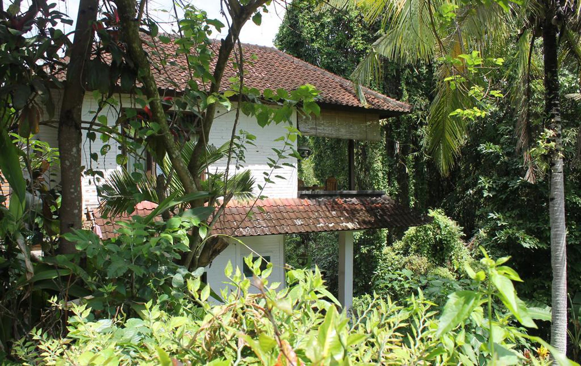 Фото Lecuk Inn Ubud