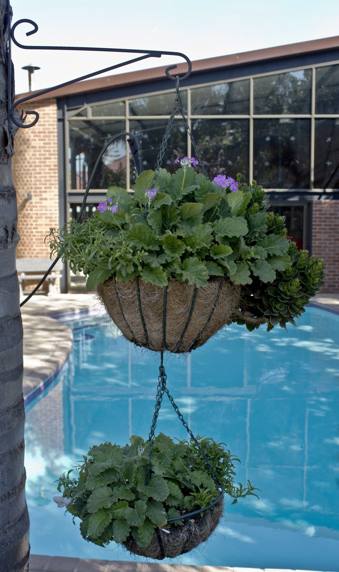 Фото Sunrock Guesthouse