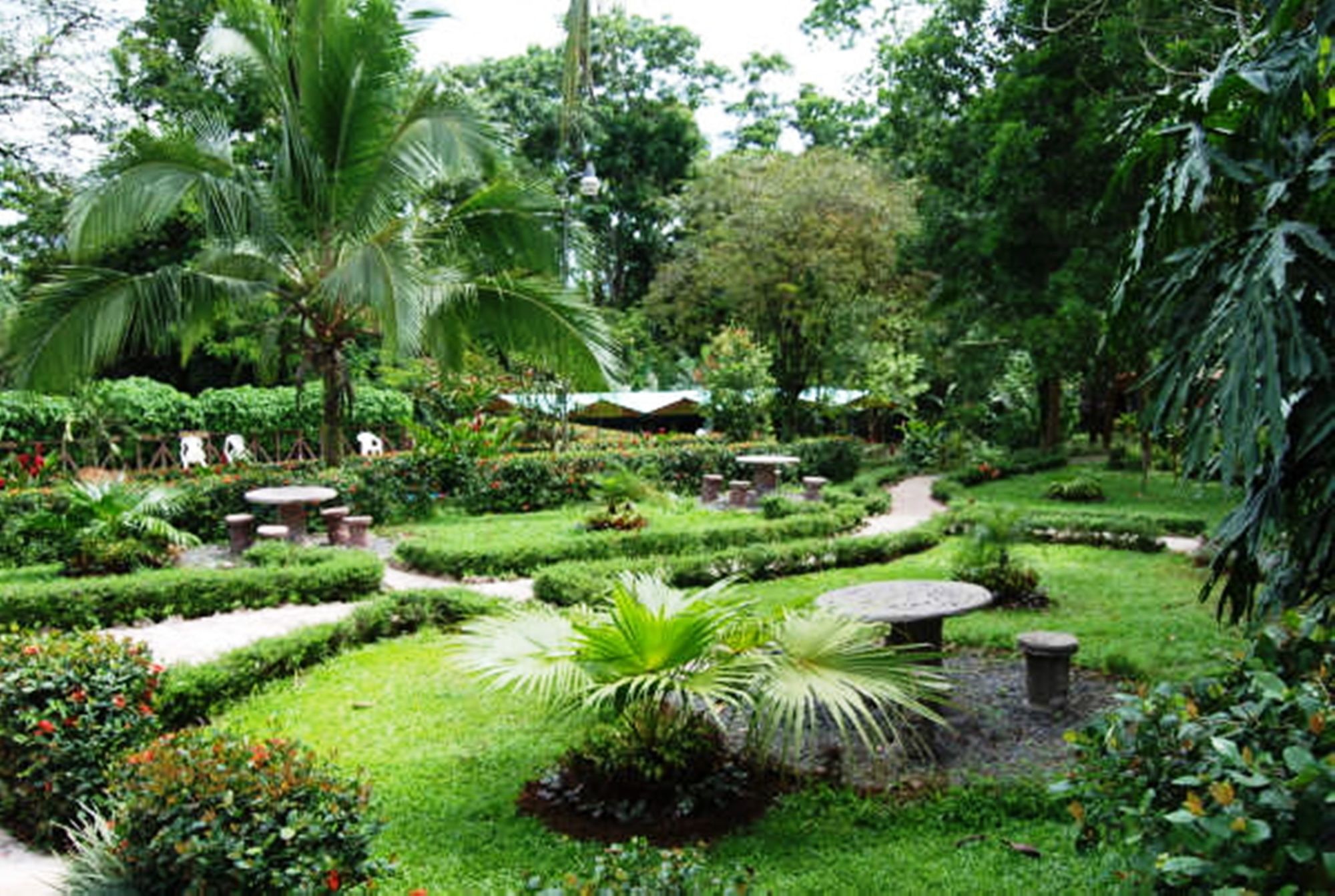 Фото Ara Ambigua Lodge