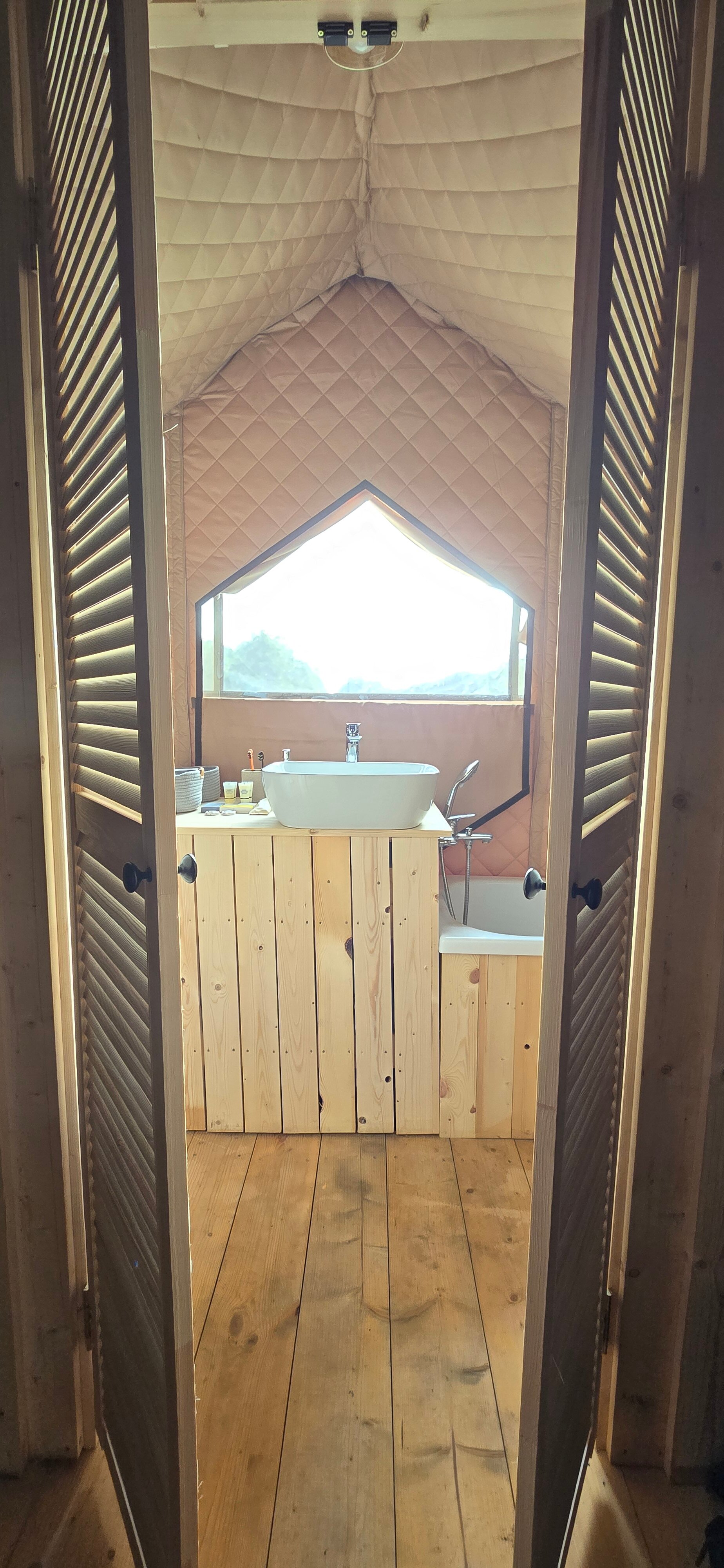 Фото Малина