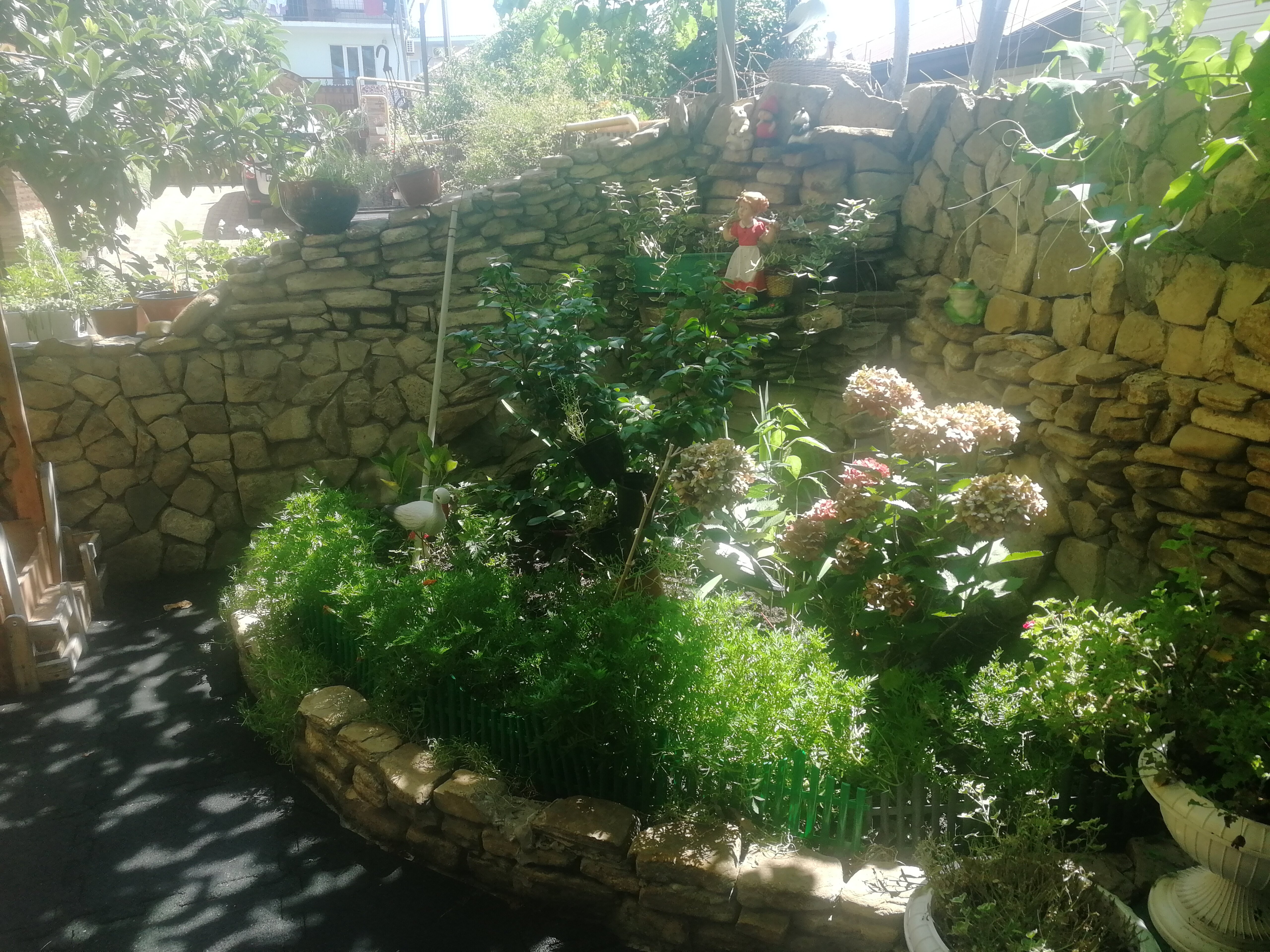 Фото Виолетта