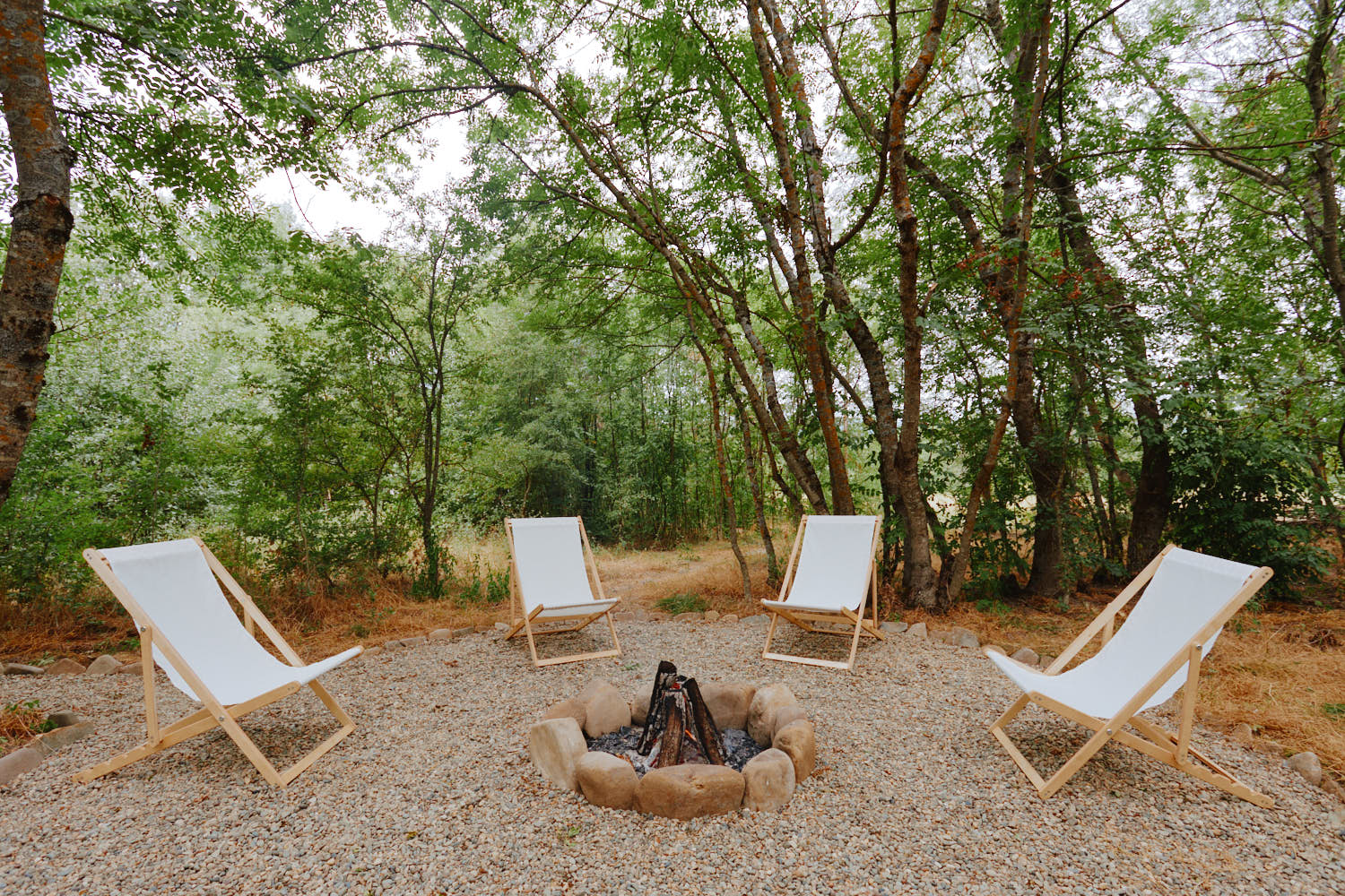 Фото Тихий Лес