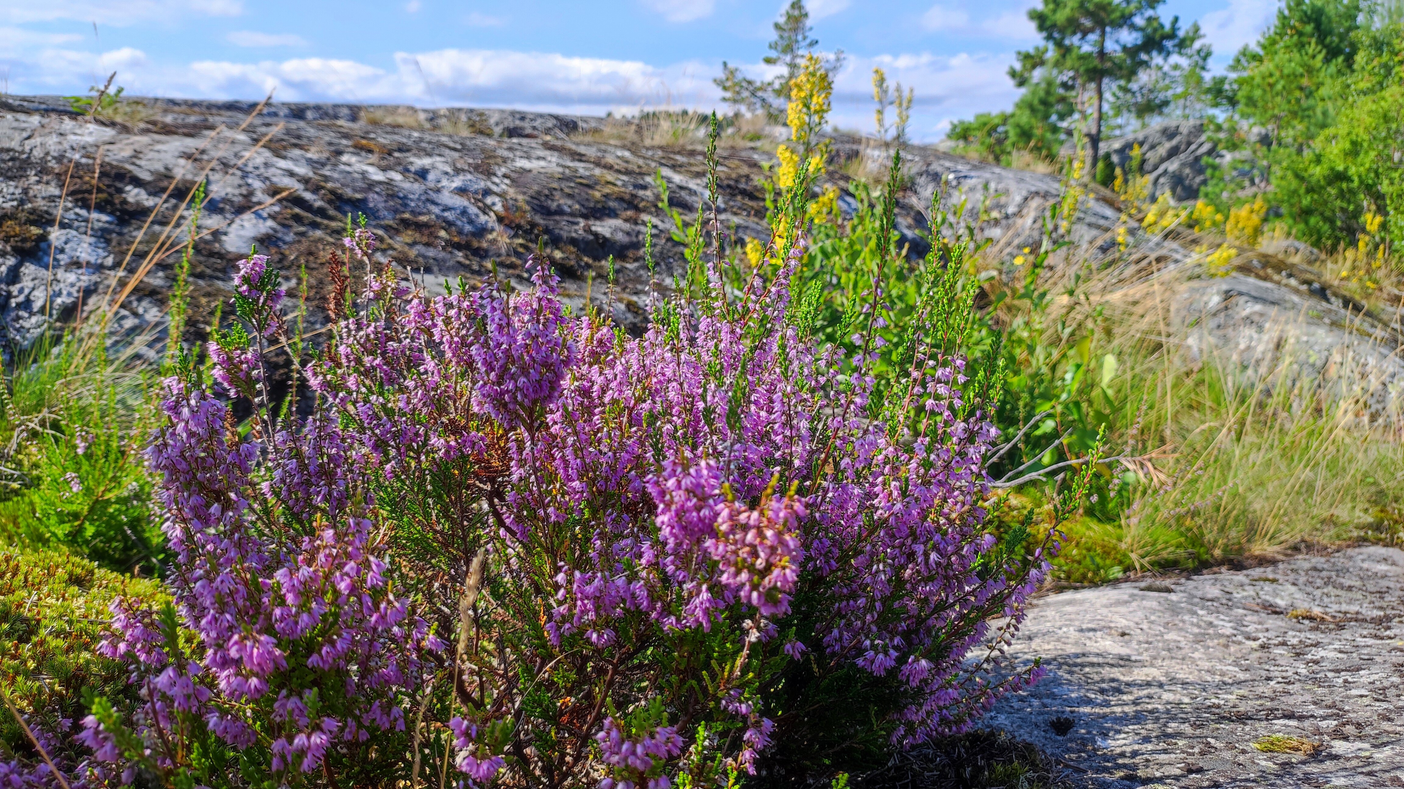 Фото Центр Активного Отдыха Деревня Терву