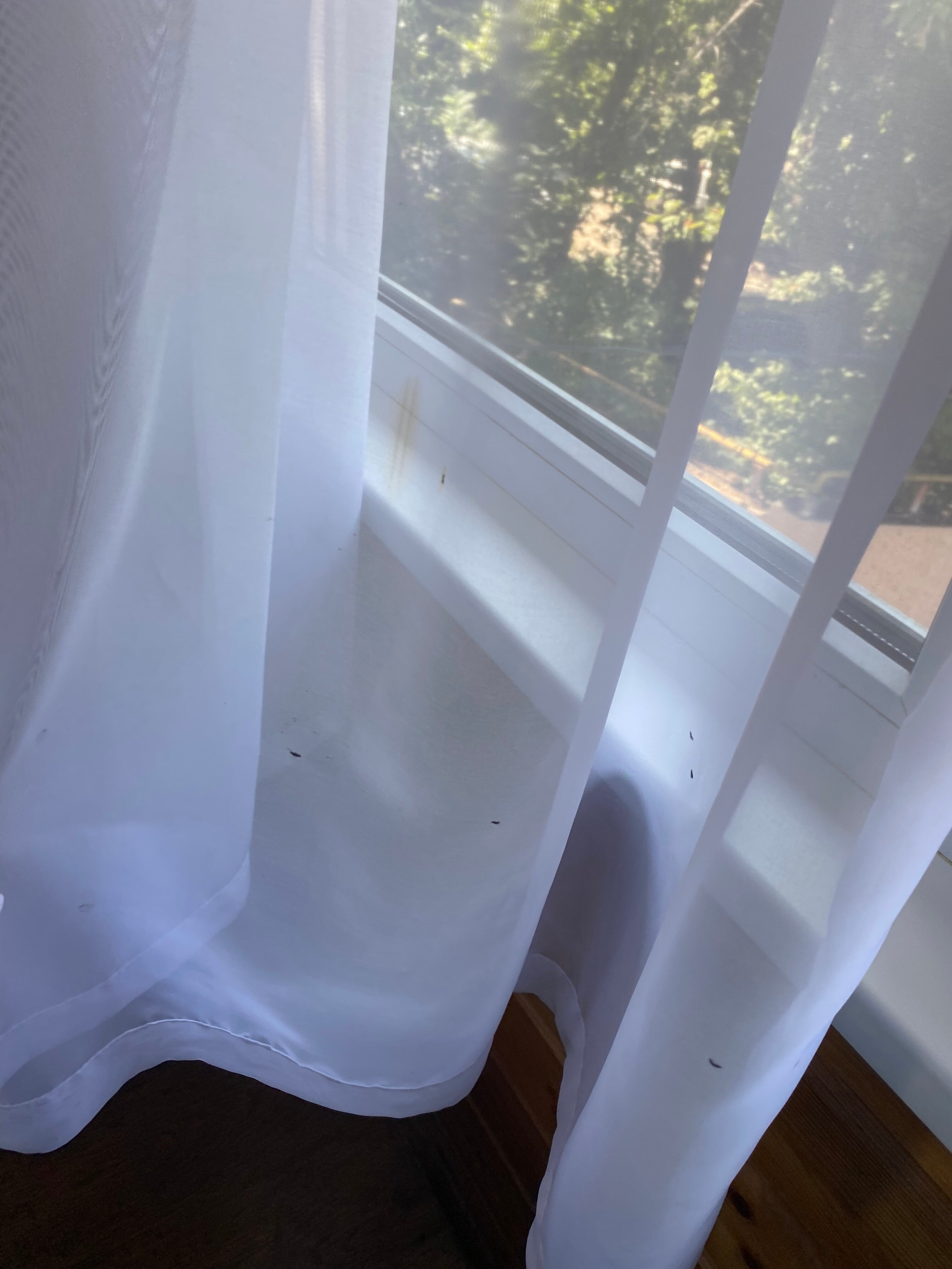 Фото Екатерина