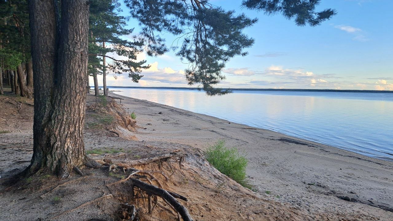 Фото Relax house