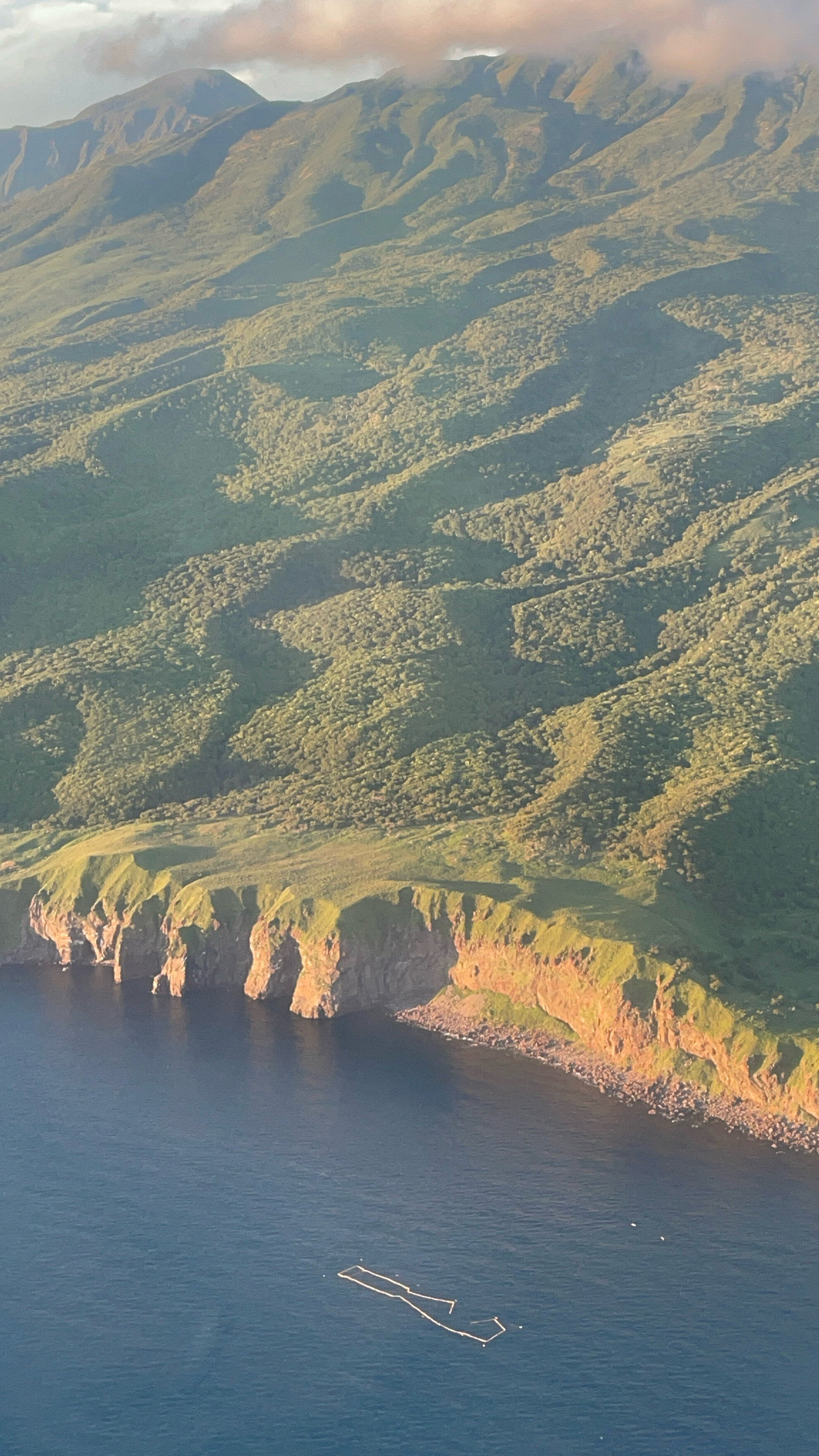 Фото Глэмп+