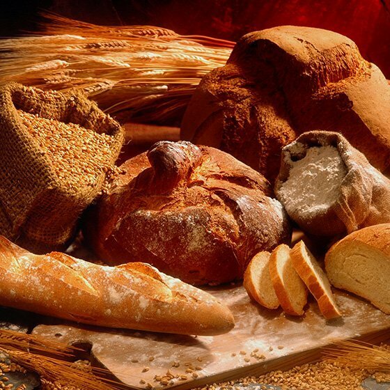 Tool industry Brotmas, Konya, photo