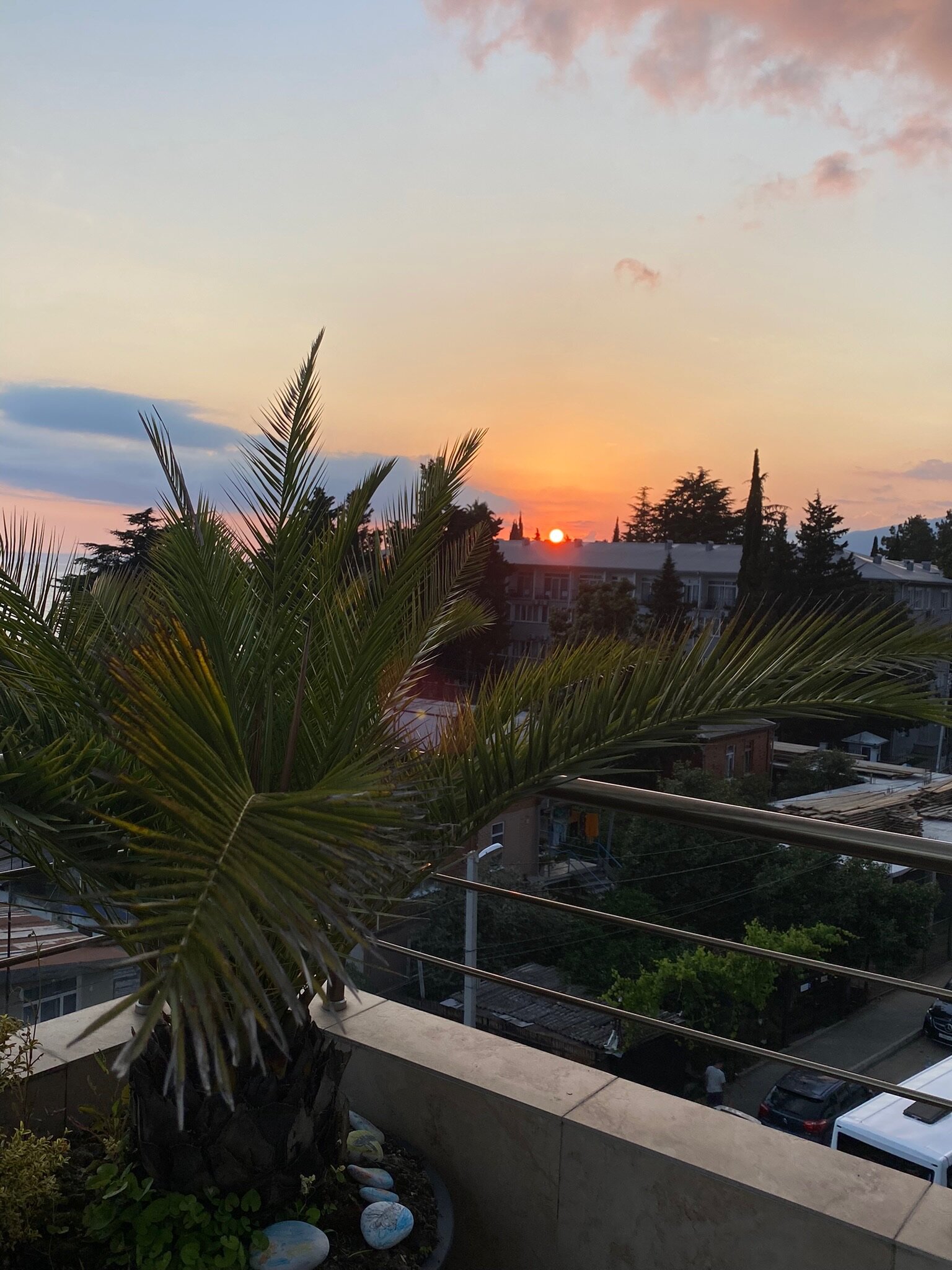 Фото Медовый