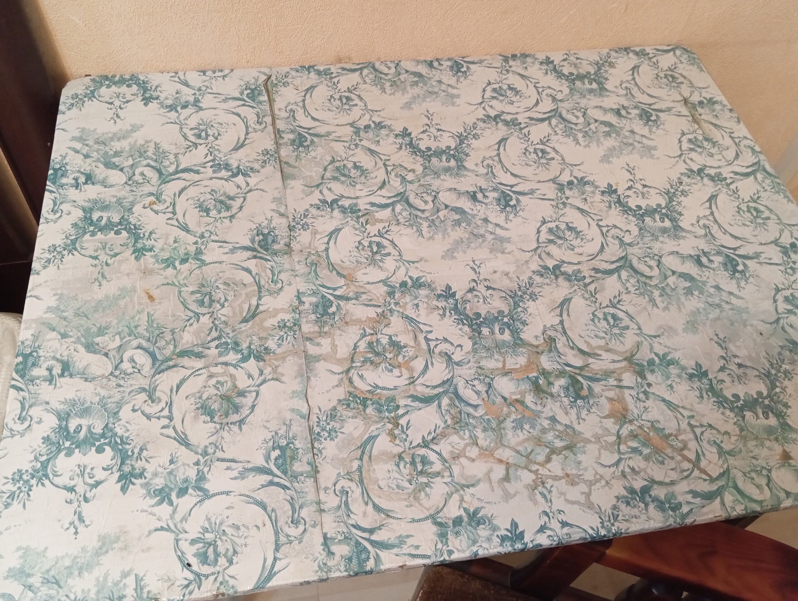 Фото Колосок