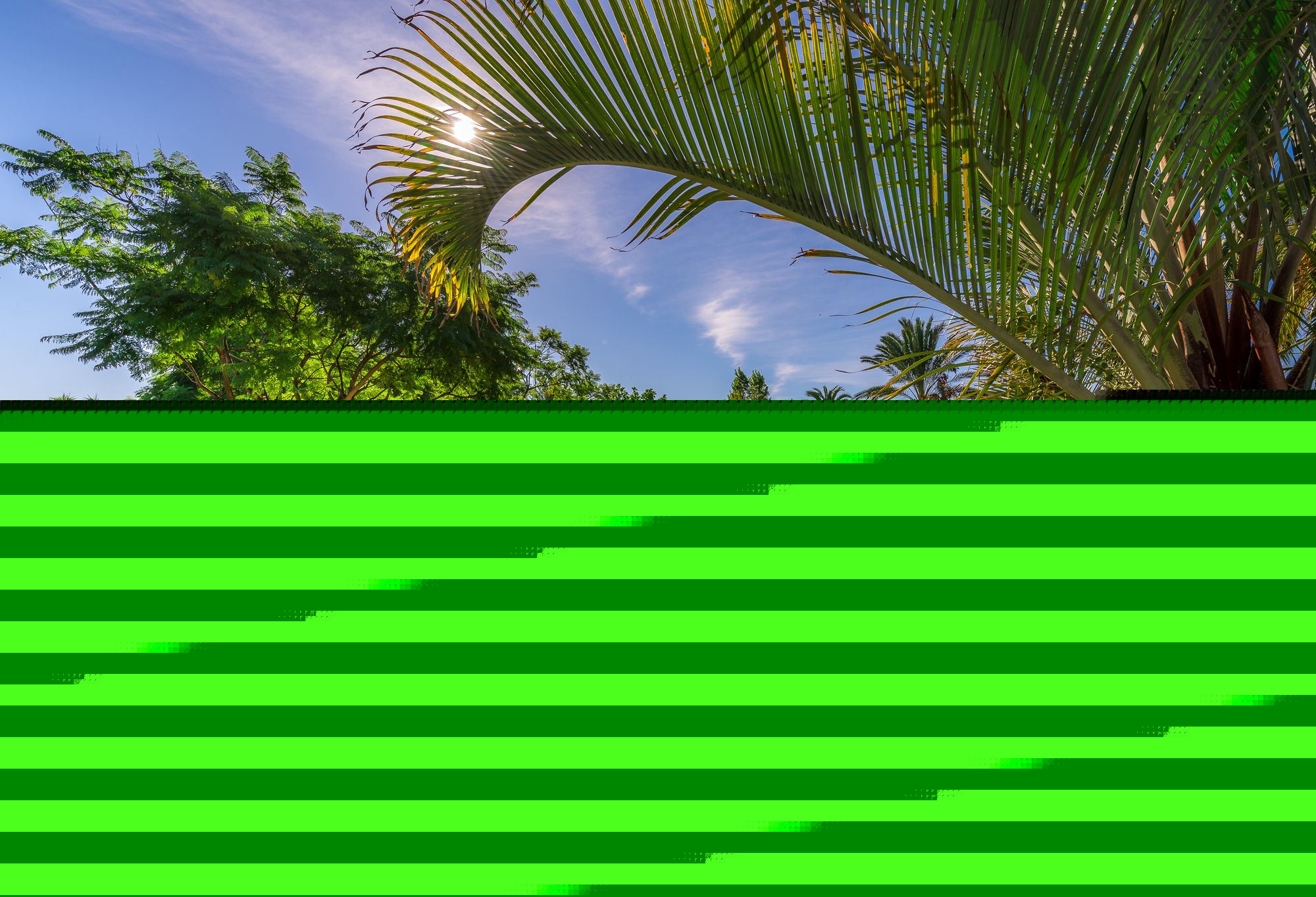 Фото Aqua Apartments Vento, Marbella