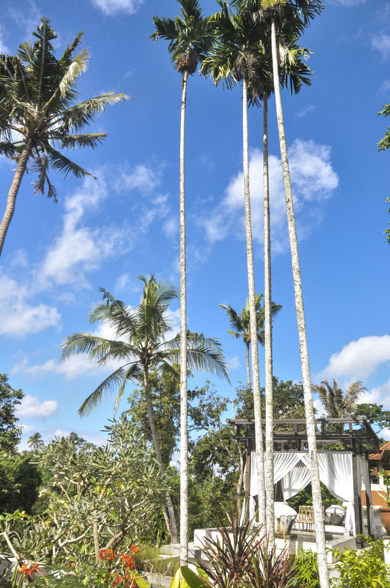 Фото Amora Ubud Boutique Villas