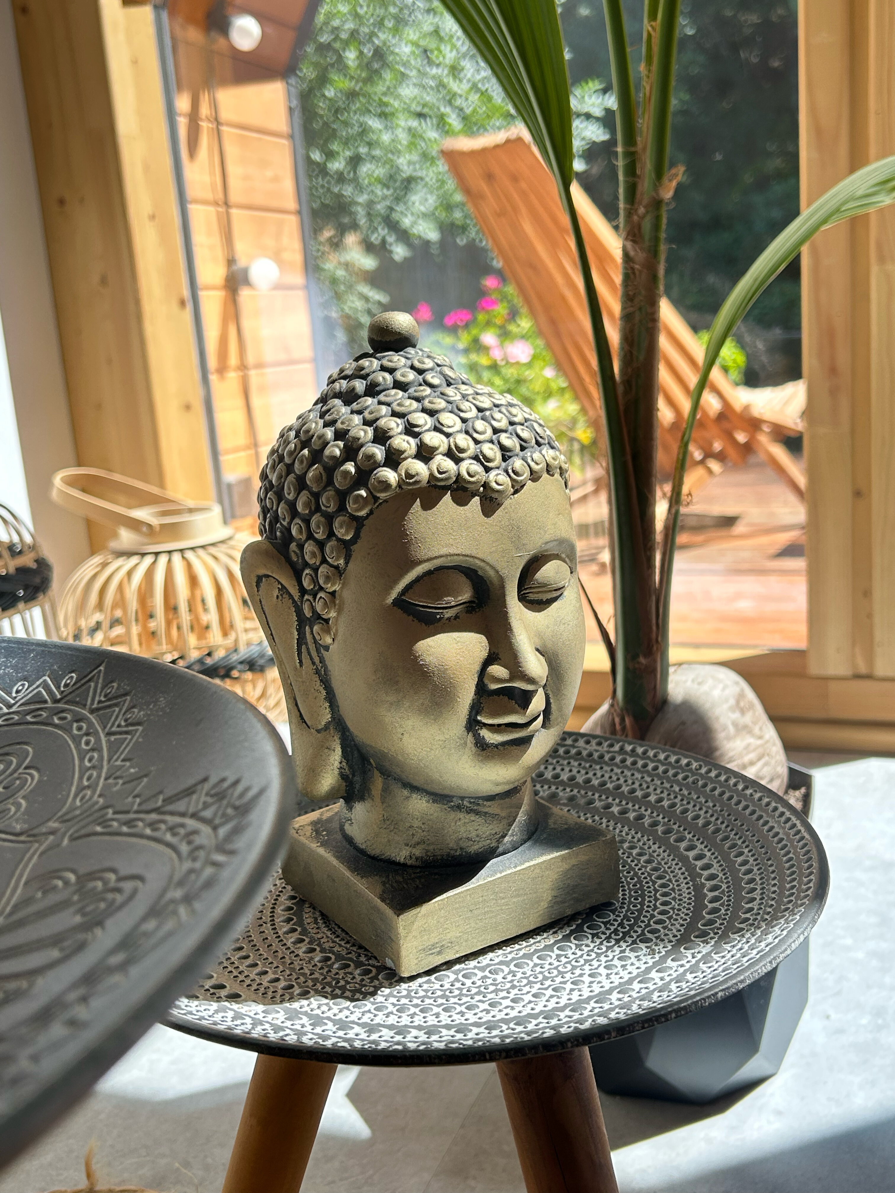 Фото Собер Глэмп