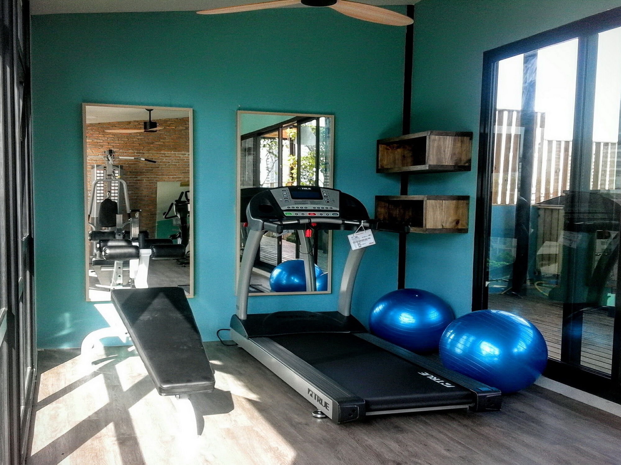 Фото Tints of Blue