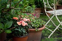 Фото Il Relais dell'Abbazia