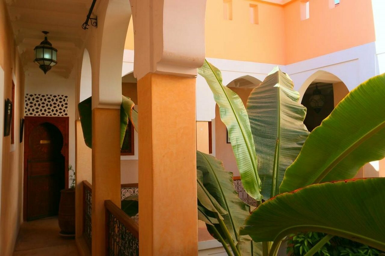 Фото Riad Sidi Mimoune