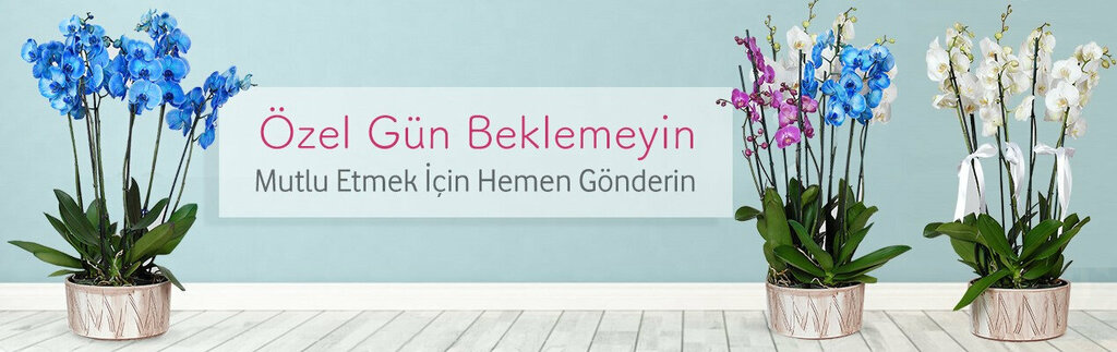 Flower shop Acelya Cicekcilik, Erzurum, photo