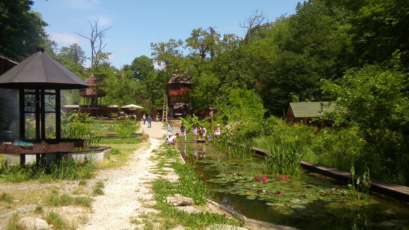 Фото Хоста Рика