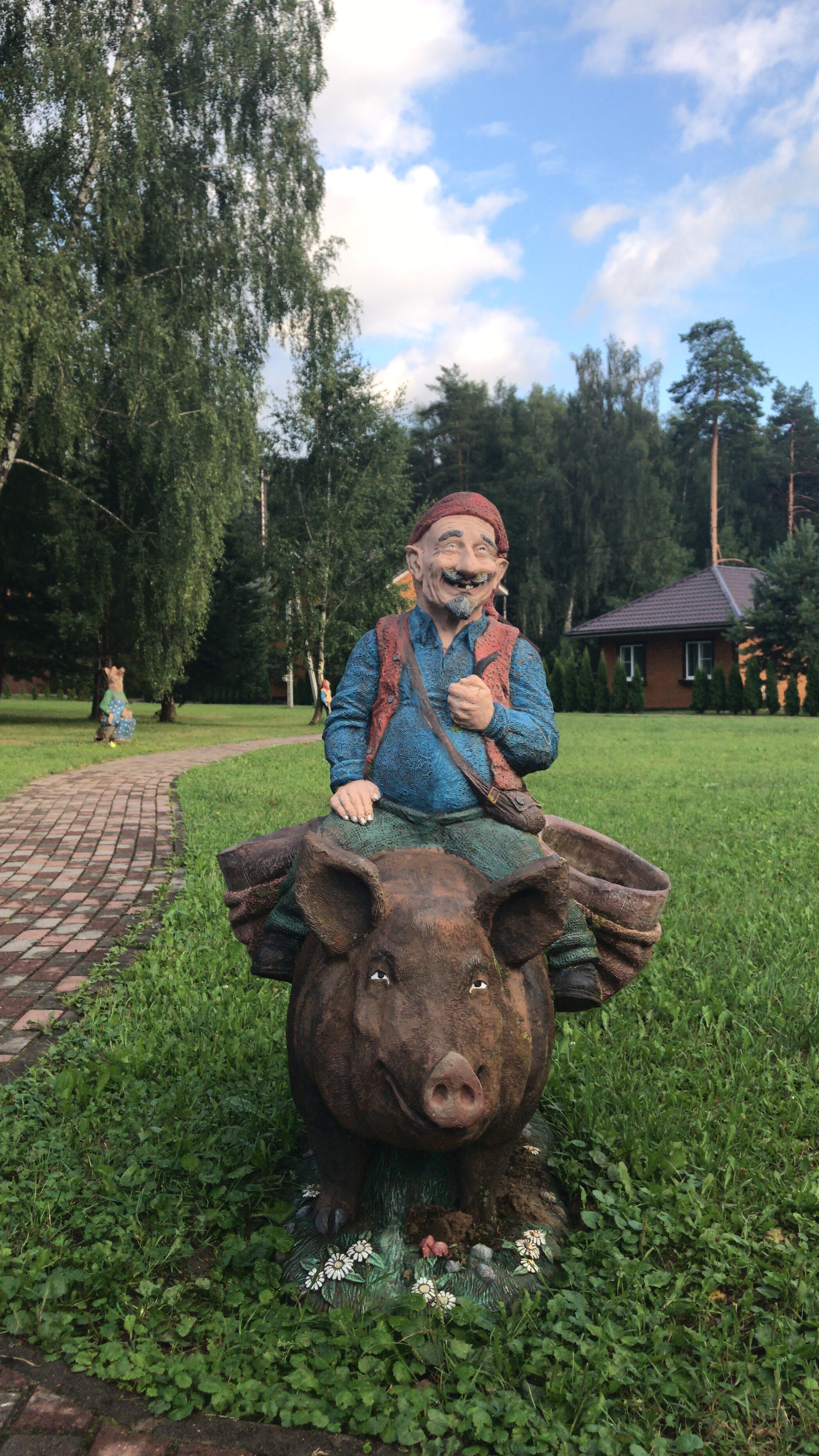 Фото Лесные поляны