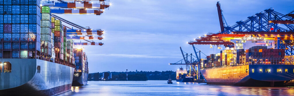 Customs broker Hayriye Bakoglu Gumruk Musavirligi, Izmir, photo