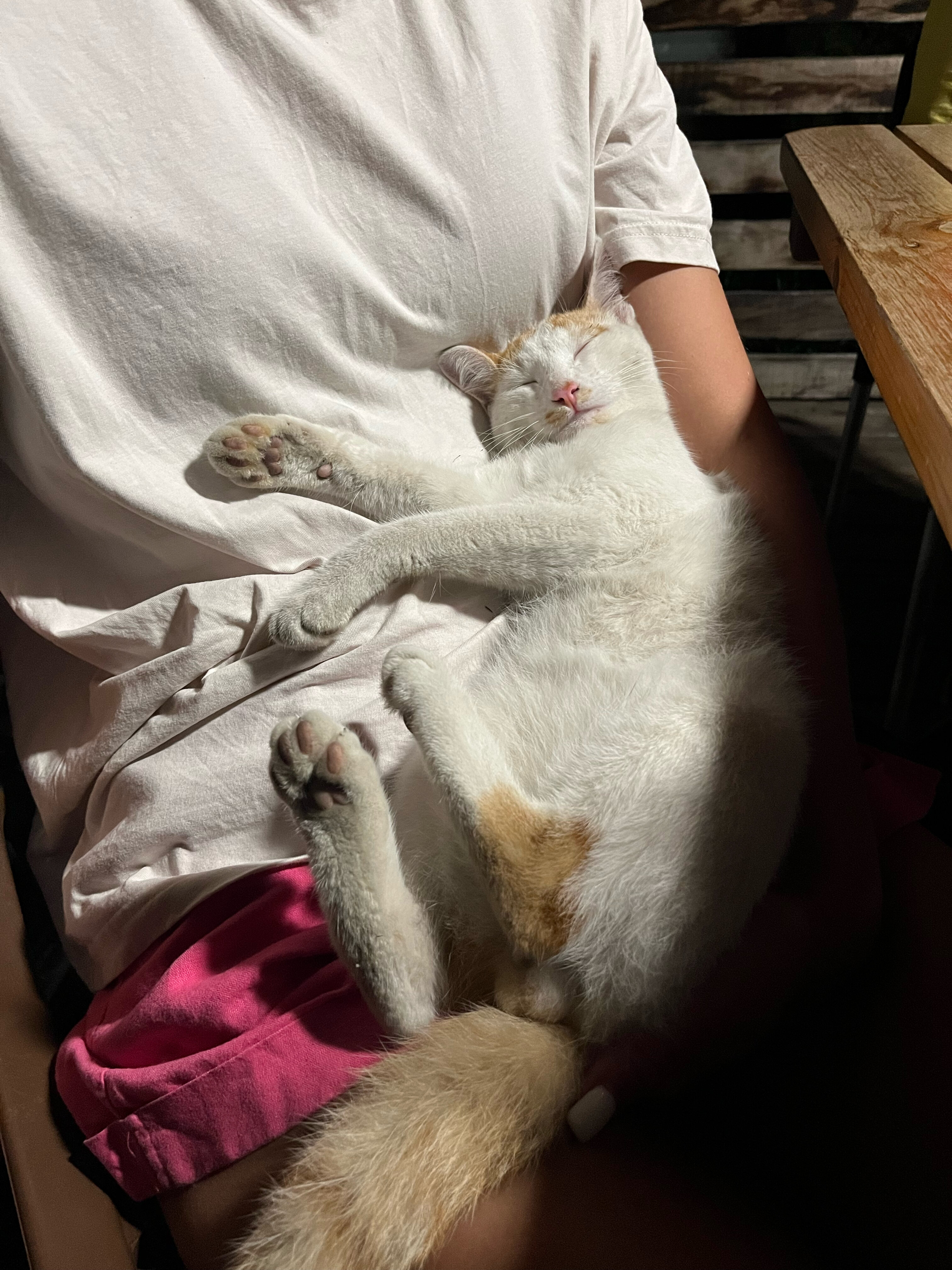 Фото Атмосфера