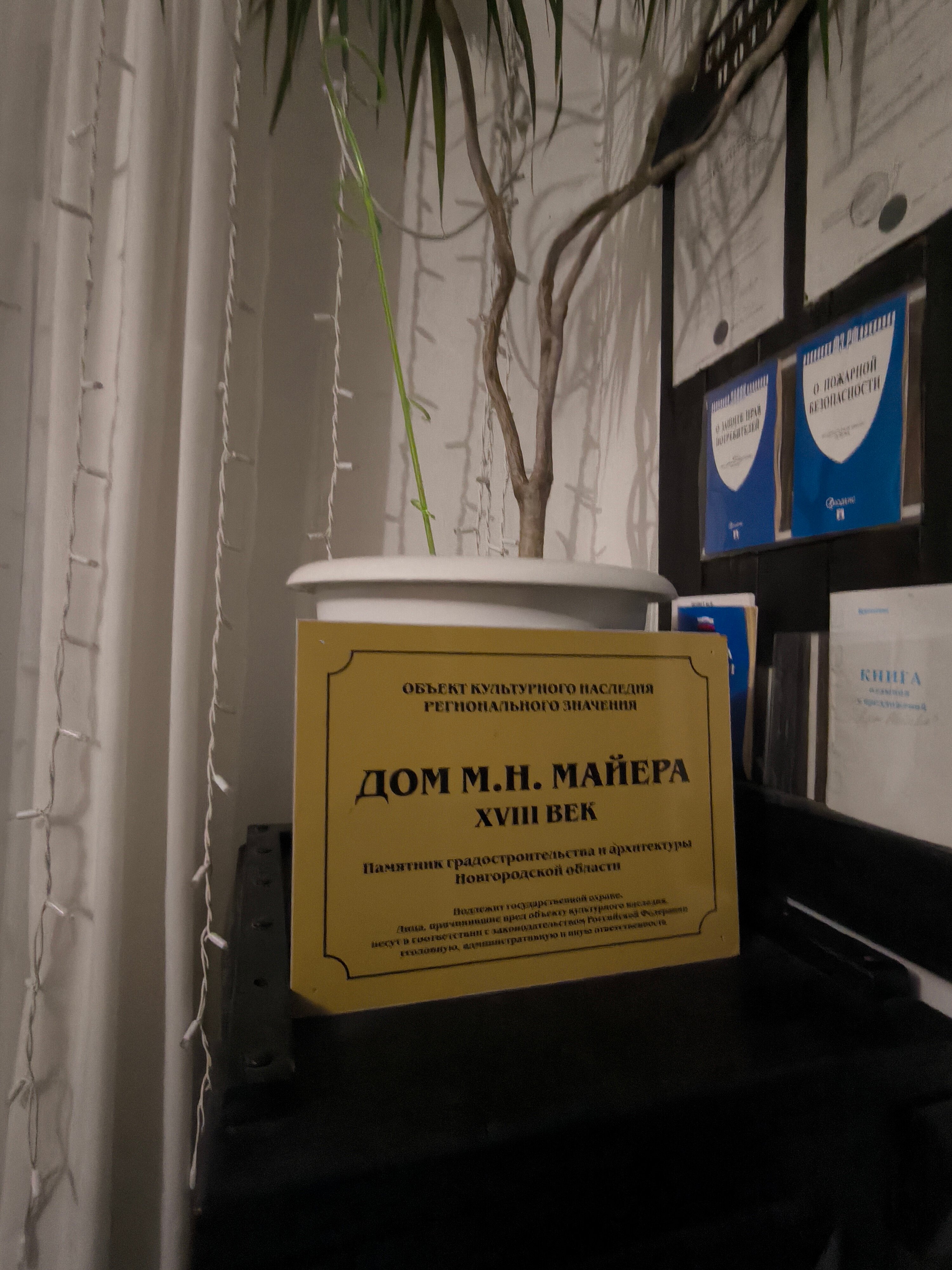 Фото Любава