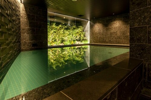 Гостиница Hotel Global View Koriyama в Корияме