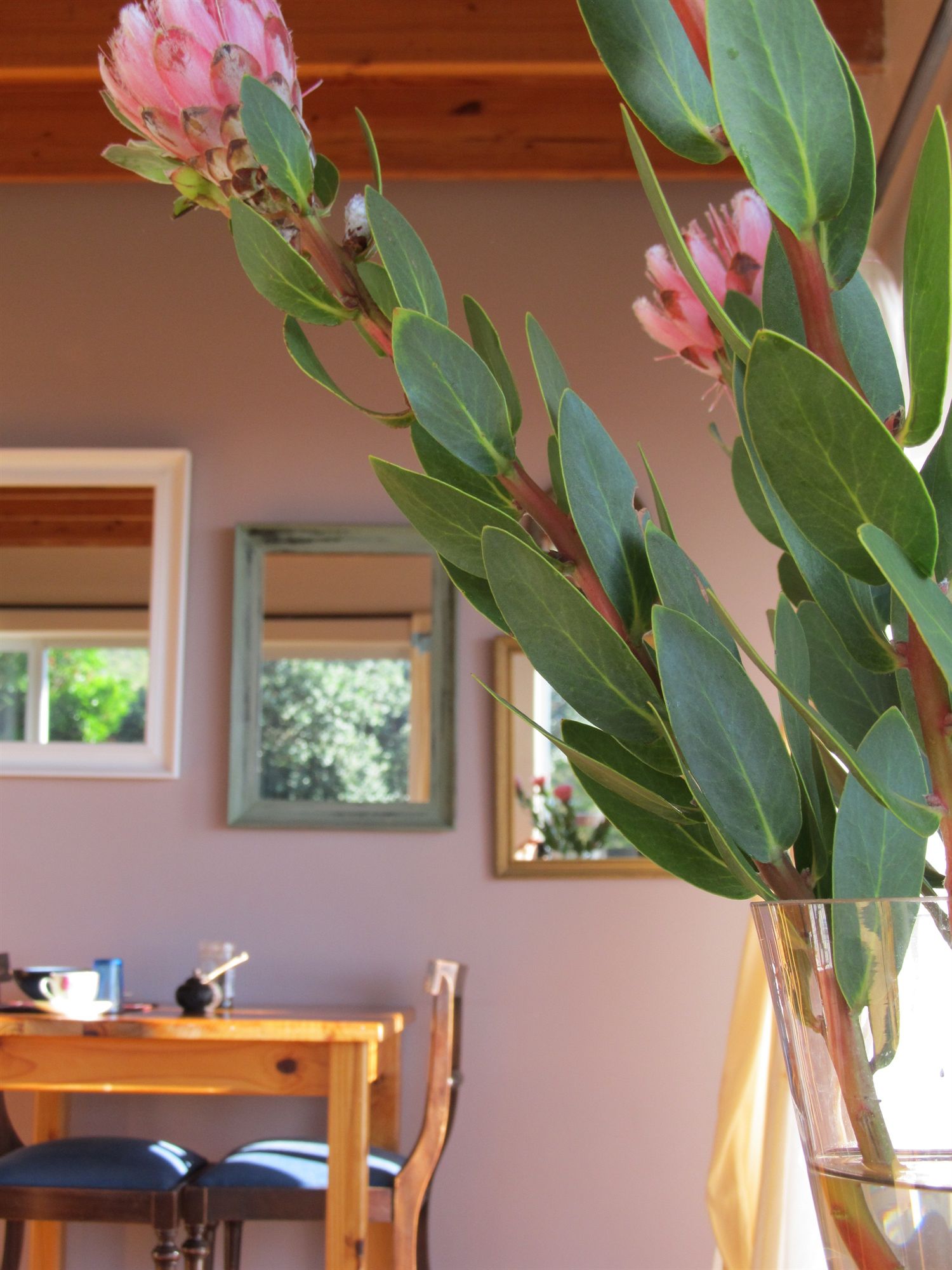 Фото Bluebottle Guest House