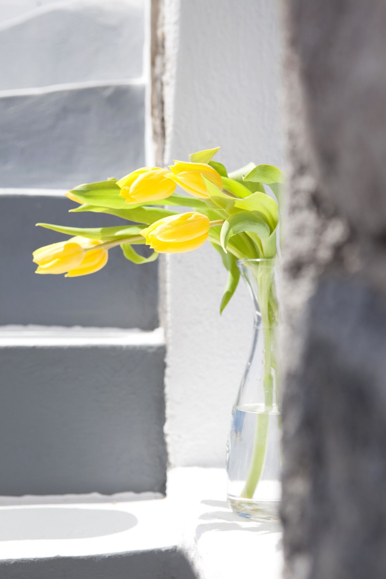 Фото Esperas Santorini