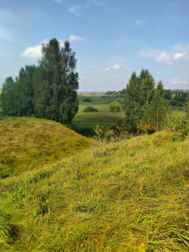 Landmark, attraction Валы бывшего замка Ходкевичей, Brest District, photo