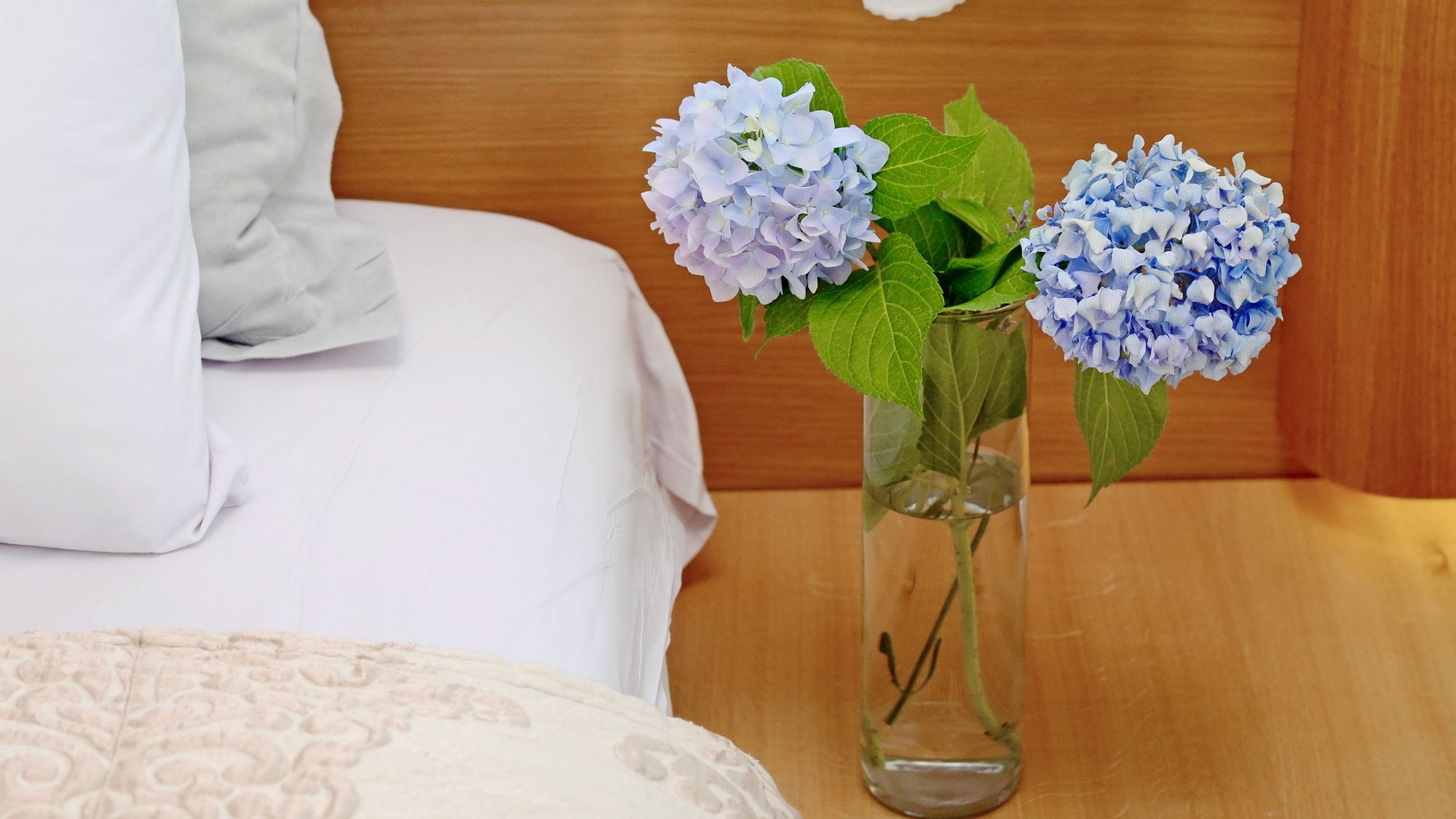 Фото Dilofo Hotel Luxury Suites