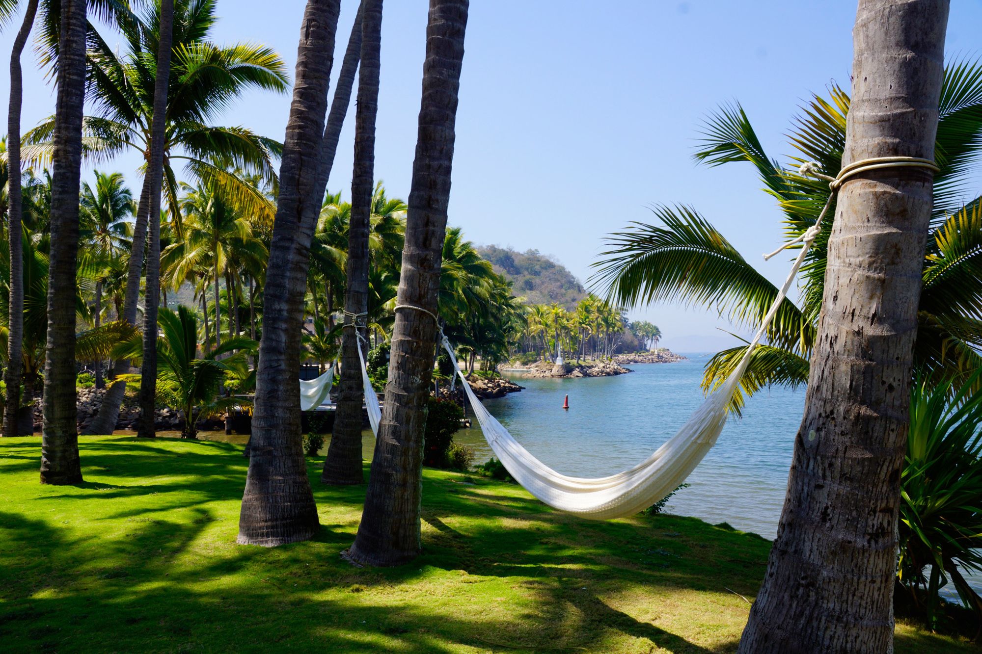 Фото Grand Isla Navidad Resort