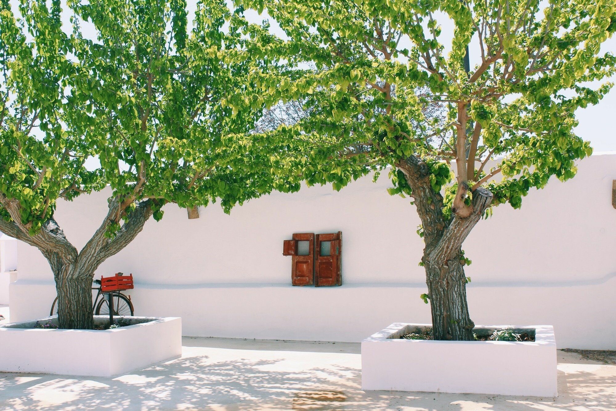 Фото Masseria San Michele