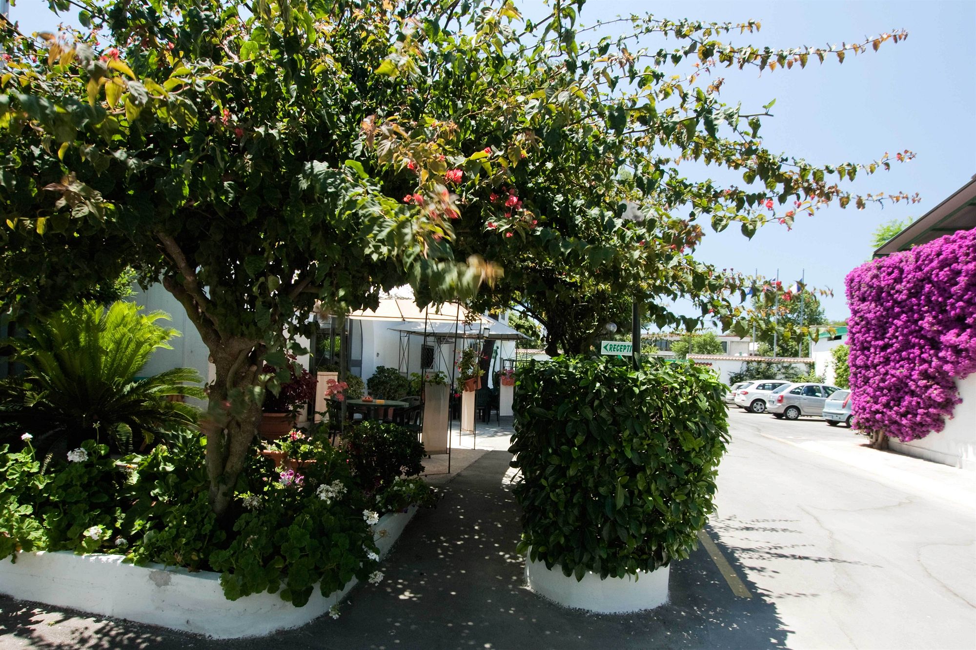 Фото Hotel Residence Nemo