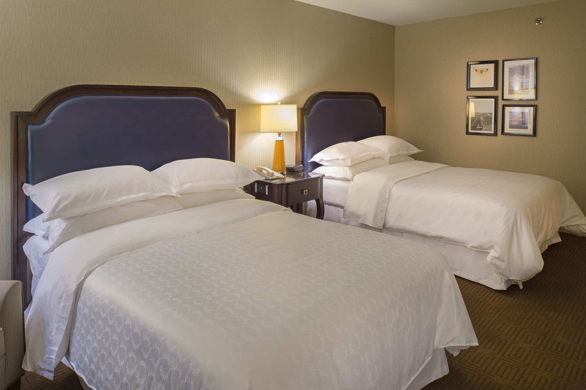 Фото Sheraton Westport Plaza Hotel St. Louis