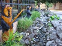 Фото Best Western Plus Forest Park Inn