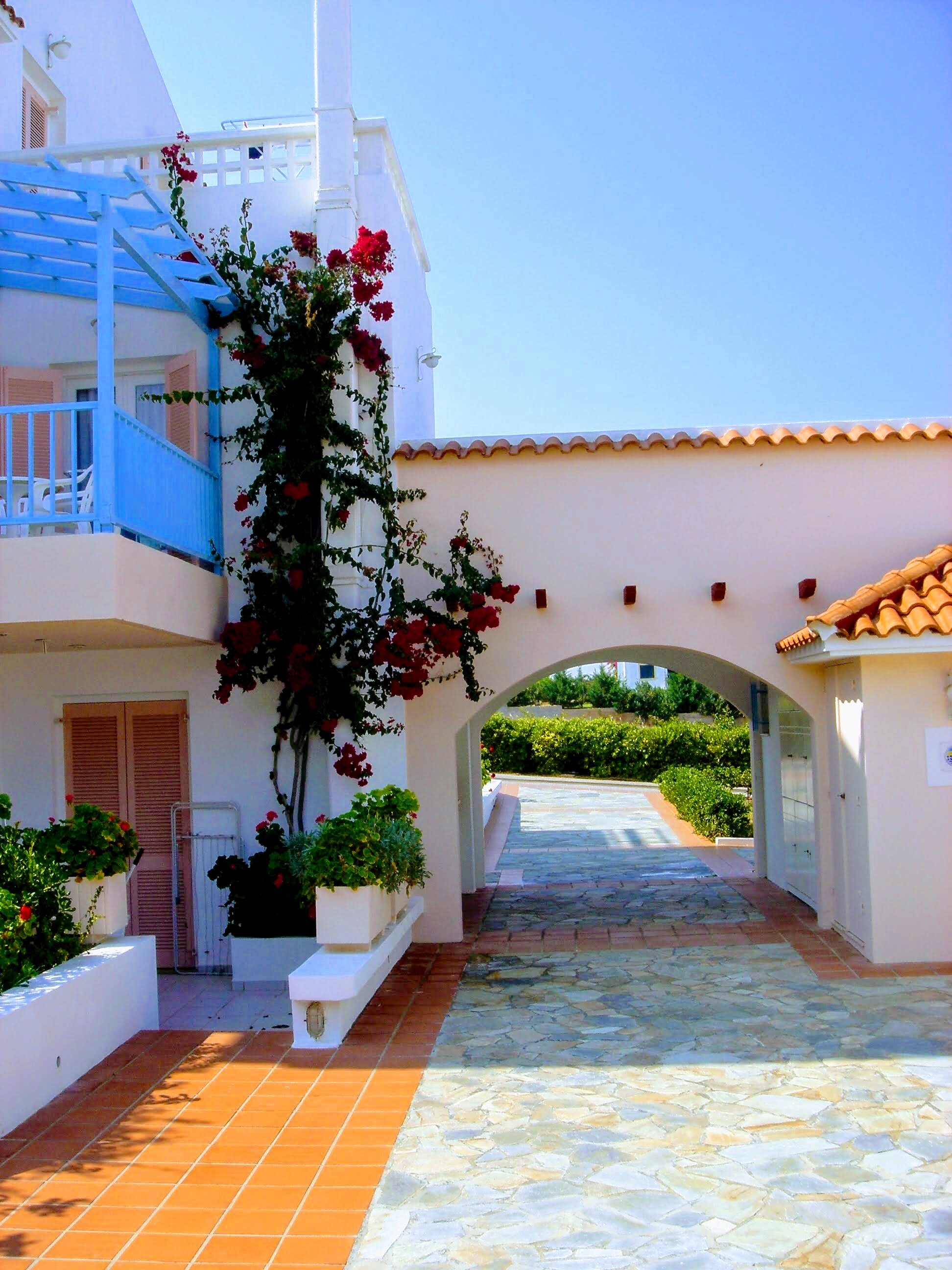 Фото Golden Dream Apartments