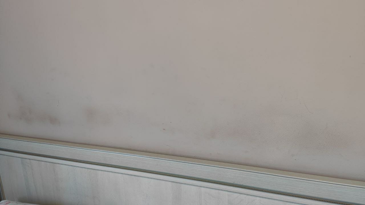 Фото Людмила