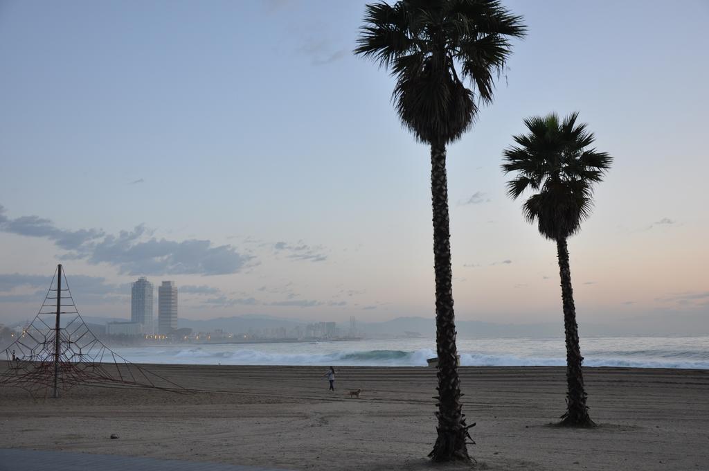 Фото Evenia Rocafort