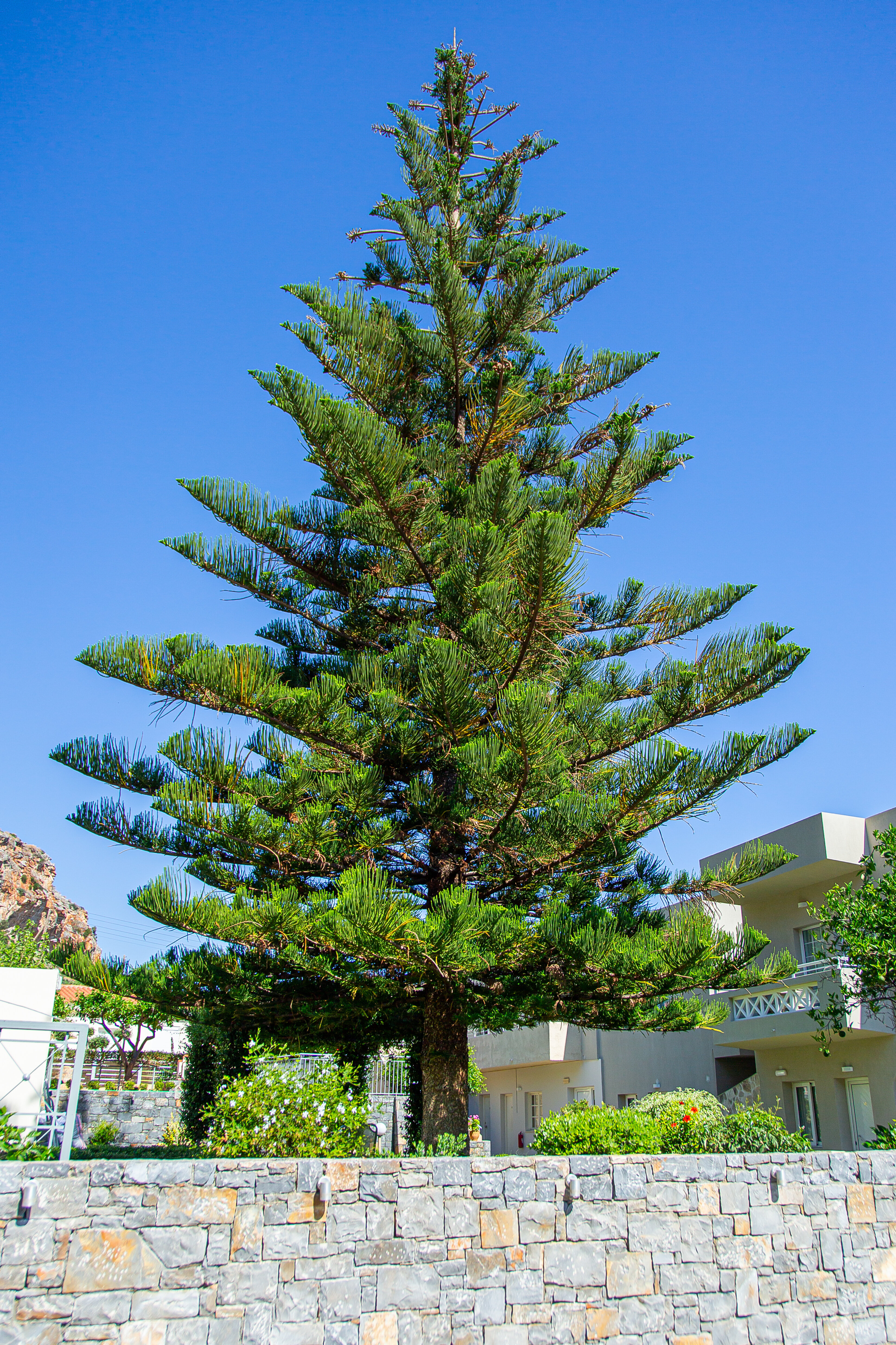 Фото Villa Mare Monte