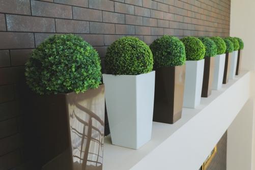 Фото Каскад