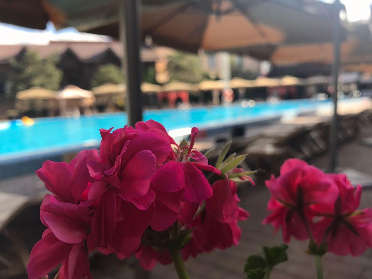 Фото Темерницкий