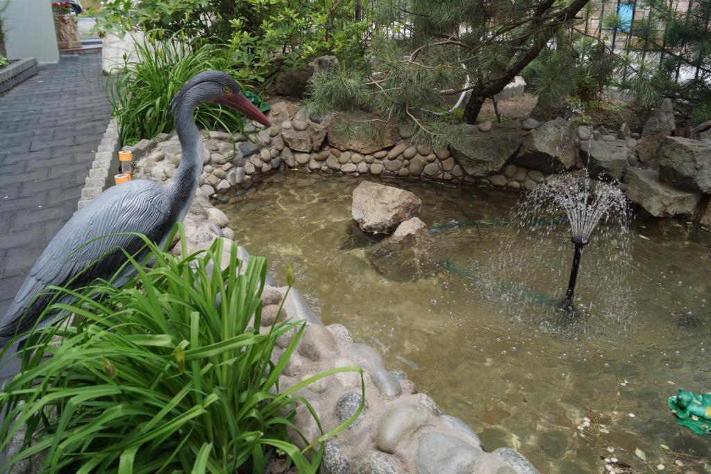 Фото Ренессанс