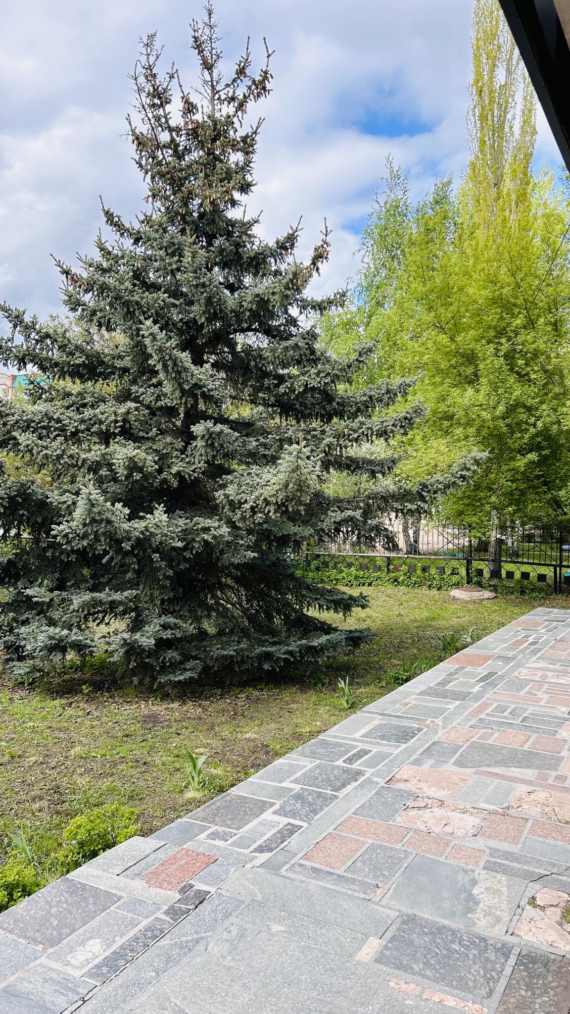 Фото Фаворит